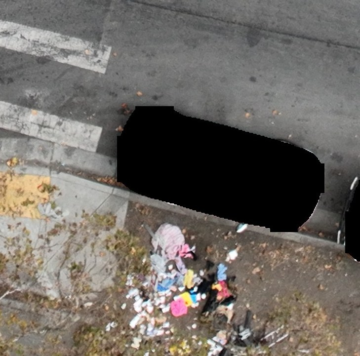 Scattered dumped items beside a curb and a redacted vehicle